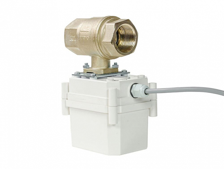 ШЭП  PROFESSIONAL 12V ENOLGAS 1”